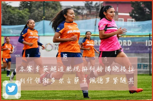 本赛季英超造犯规排行榜揭晓格拉利什领衔多尔古萨卡佩德罗紧随其后