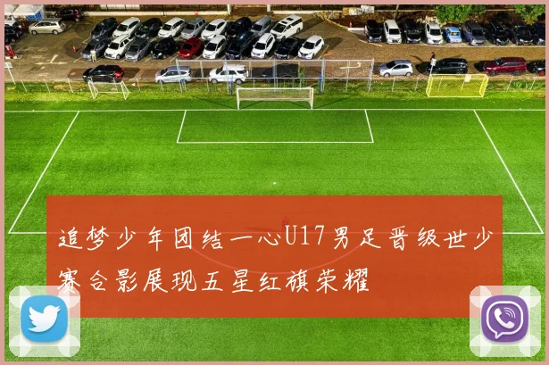 追梦少年团结一心U17男足晋级世少赛合影展现五星红旗荣耀