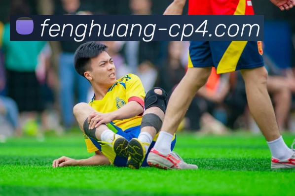 凤凰彩票APP 封面图